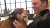 Tom Brady fa clonare la sua cagnolina scomparsa
