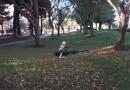 Dopo il Drone del Millennium Falcon spunta il Drone della Speeder Bike di Star Wars!