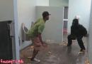 E se un Gorilla entrasse in bagno mentre caghi?