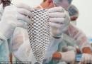Donna Transgender diventa la prima al mondo a ricevere una vagina realizzata con pelle di pesce!