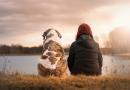 Il cane è bravo se lo è il suo umano per primo