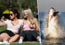 È confermato: i selfie sono cinque volte più letali degli squali!