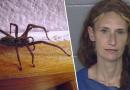 Donna da' fuoco alla casa dopo aver trovato un enorme ragno all'interno!