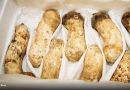 Otto funghi venduti a 4.850 euro
