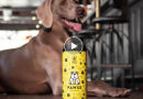 Nasce in Italia la birra per cani