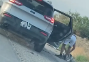 Abbandona un cane ma viene arrestato