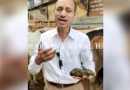 Medico mangia sterco di mucca 