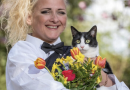 Sposa il suo gatto per non doversene liberare
