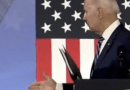 Cosa ne pensate di Rimbam-Biden?