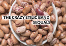 THE CRAZY ETILIC BAND - Sequals