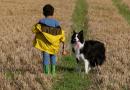 Bimbi e cani: istruzioni per l’uso