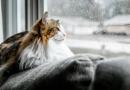 Arriva l’inverno!