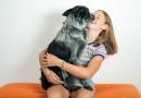 26 agosto: Giornata Mondiale del Cane