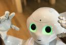 Robot scambia operaio per una scatola di verdure e lo schiaccia
