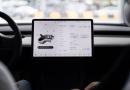 Partorisce sulla Tesla in autopilota