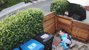 Consegna i pacchi e poi defeca in cortile