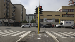 Lumaca manda in tilt un semaforo