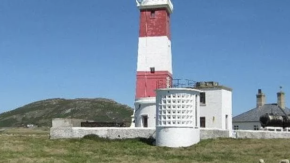 Cercasi pastore per l’isola abitata da sole pecore e mucche