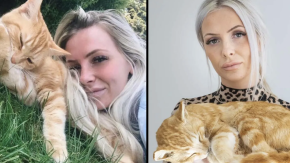 Fa imbalsamare il suo gatto per 4000 sterline