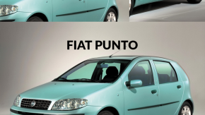 Zimbo - Fiat Punto