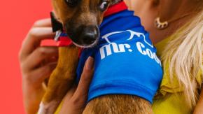 Cosa pensa di noi il nostro cane?