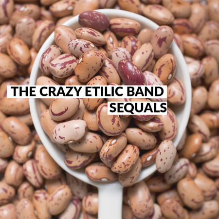 THE CRAZY ETILIC BAND - Sequals