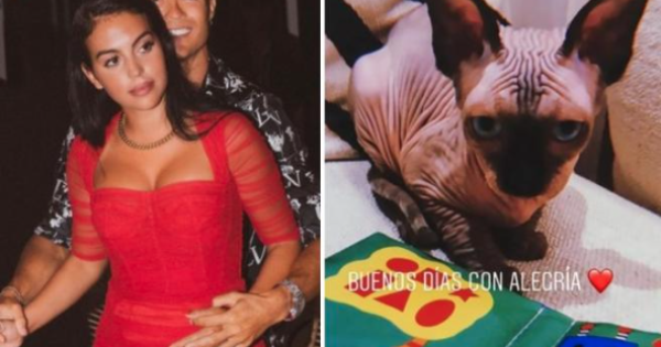 Jet privato per il gatto di Ronaldo - Lo Zoo di 105