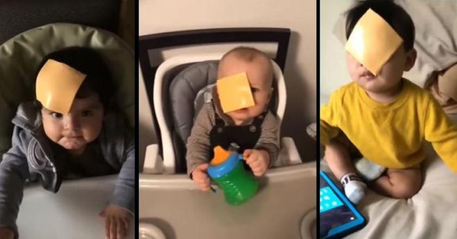 Nuova tendenza dal Web: lanciare fette di formaggio in faccia al proprio figlio! Perchè?