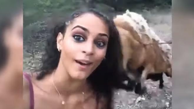 Cerca di farsi un selfie con una capra, lei non ci sta e le tira una testata!