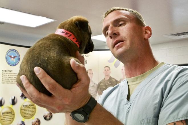 Il veterinario di fiducia: come sceglierlo?