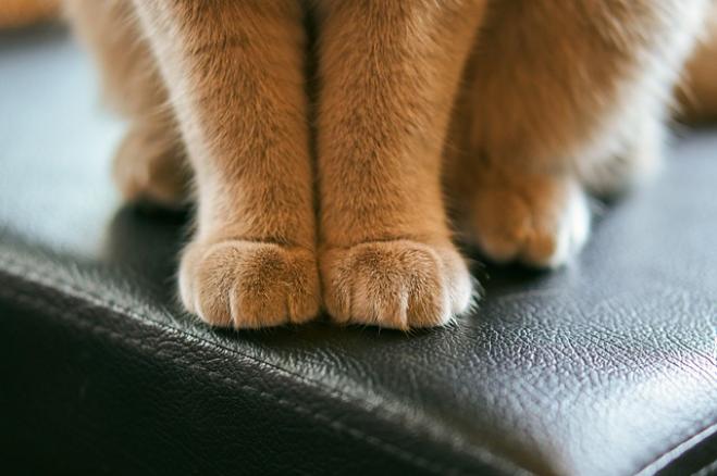 L’importanza di una buona manicure