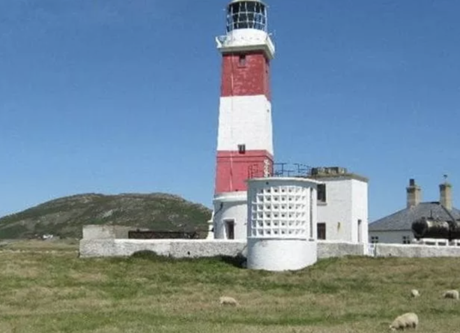 Cercasi pastore per l’isola abitata da sole pecore e mucche