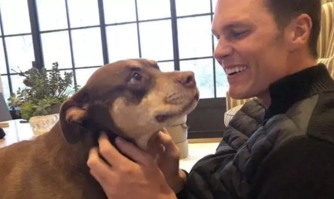Tom Brady fa clonare la sua cagnolina scomparsa