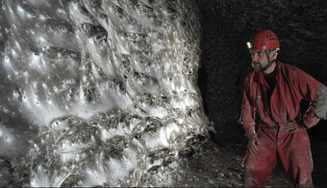 La gigantesca ragnatela dove vivono 111mila ragni