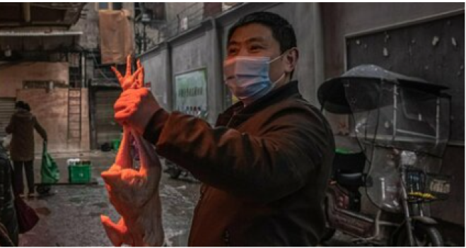 La Cina sapeva del pericolo Covid da 5 anni