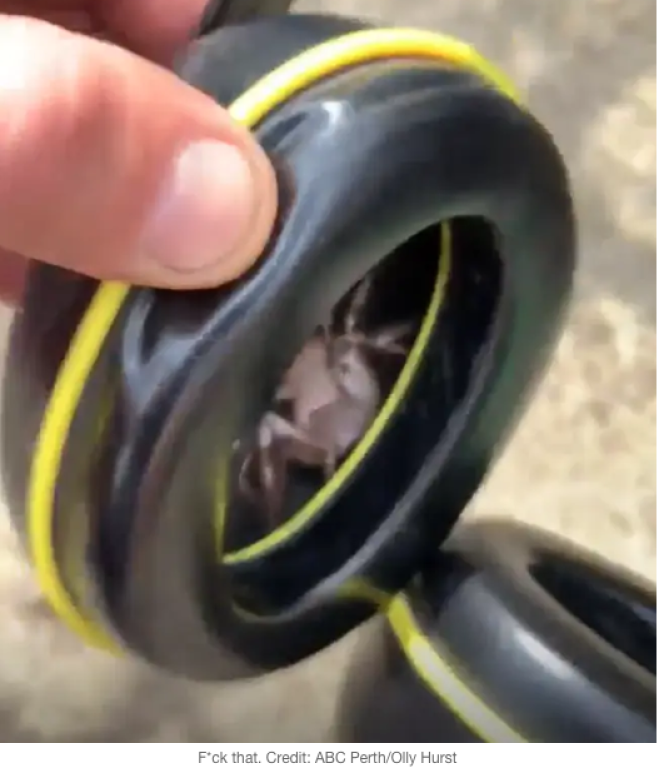 Sente uno strano solletico quando indossa le cuffie...