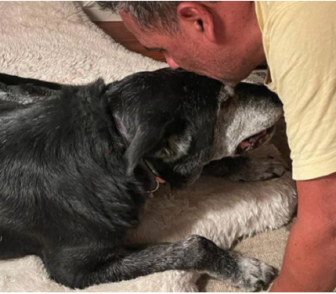 Abbandonano il cane perché ha il cancro