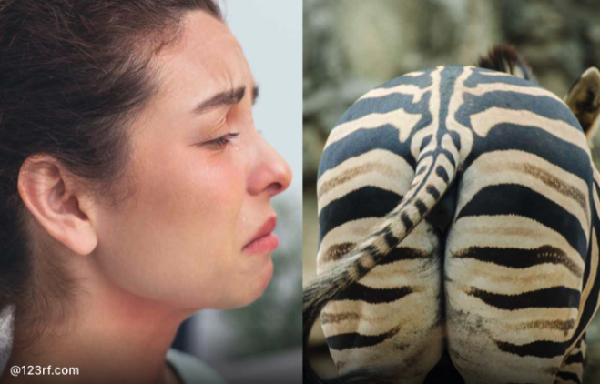 Al museo dove si annusa il lato B degli animali