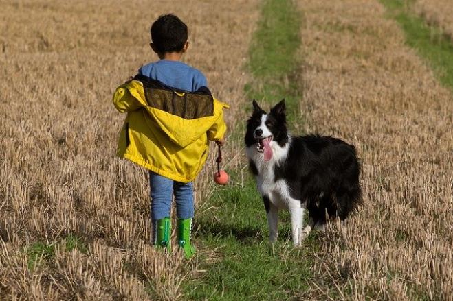 Bimbi e cani: istruzioni per l’uso