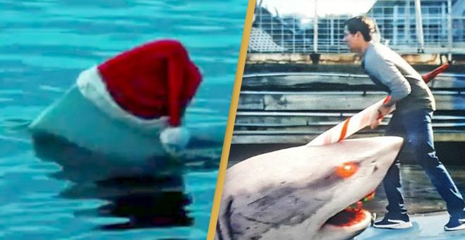 Santa Jaws: un film dove uno squalo assassino indossa un cappello natalizio