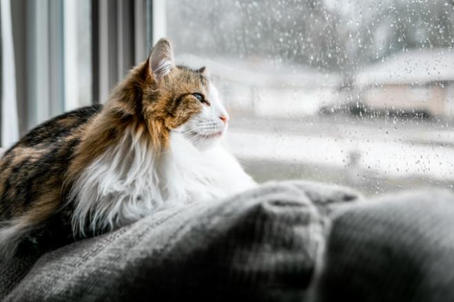 Arriva l’inverno!