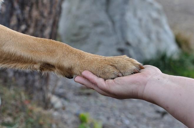 Give me five!