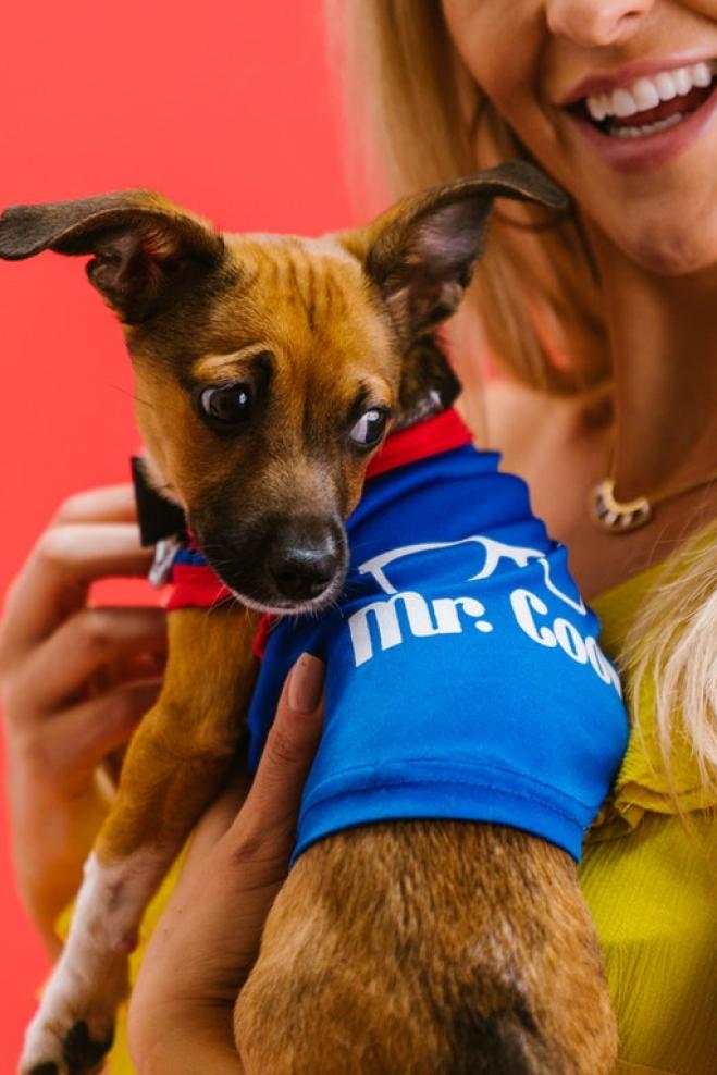 Cosa pensa di noi il nostro cane?