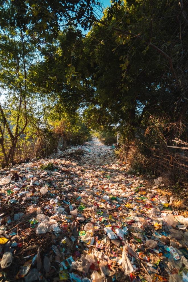 Troppa plastica e ce la mangiamo
