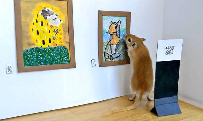 Coppia in quarantena crea una galleria d'arte in miniatura per i loro gerbilli
