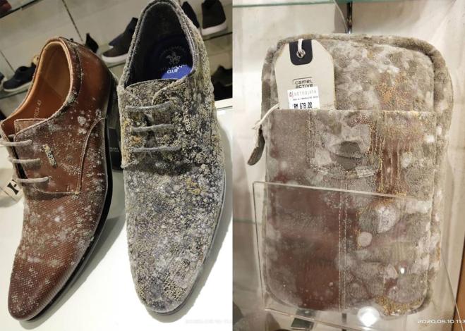 Attività riapre dopo 53 giorni dalla chiusura e trova muffa su tutti i prodotti in pelle 