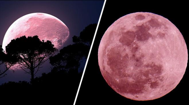 Tra il 7 e l'8 aprile potremo vedere in cielo la “super luna rosa”