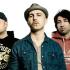 Dissapori ON AIR 17/05/17